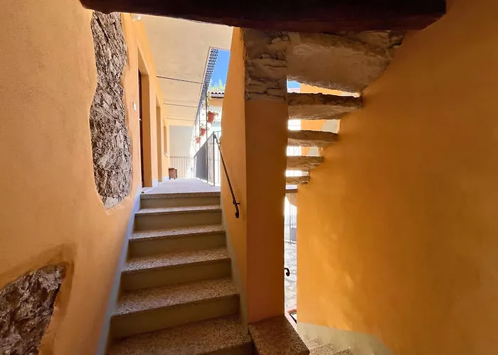 Cantusüt * Someraro